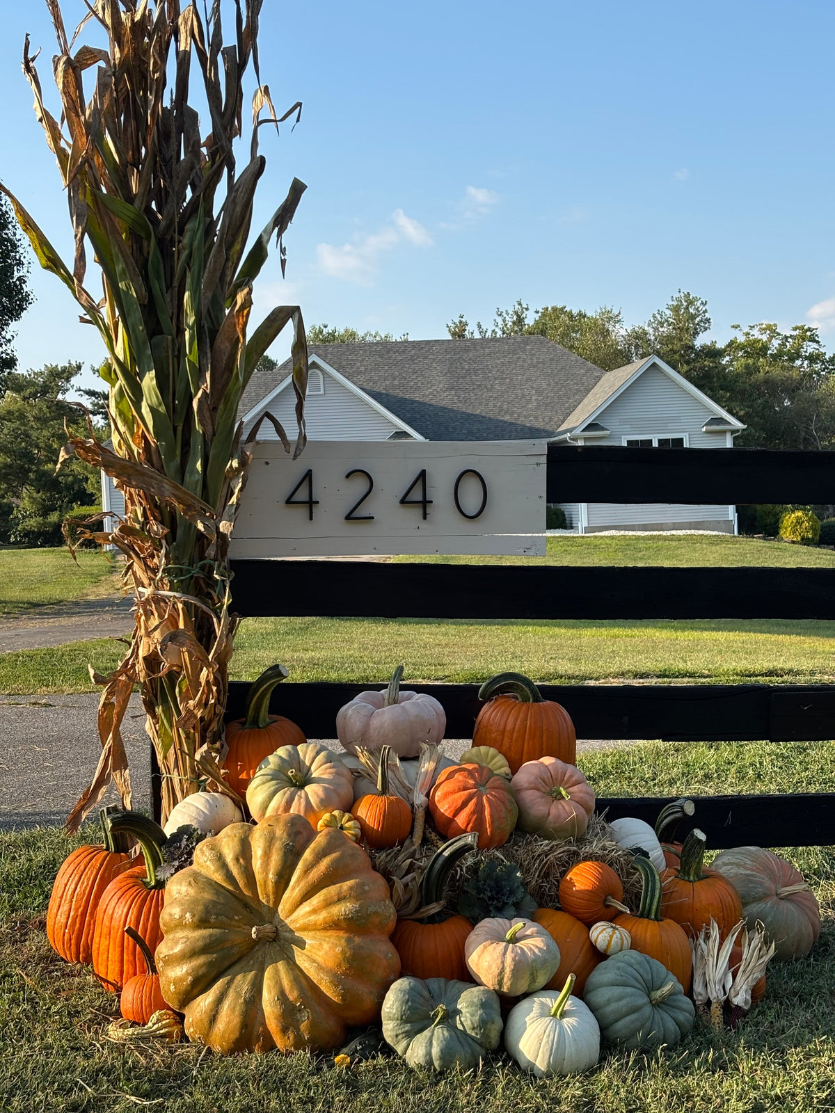 Henry County Pumpkin Delivery