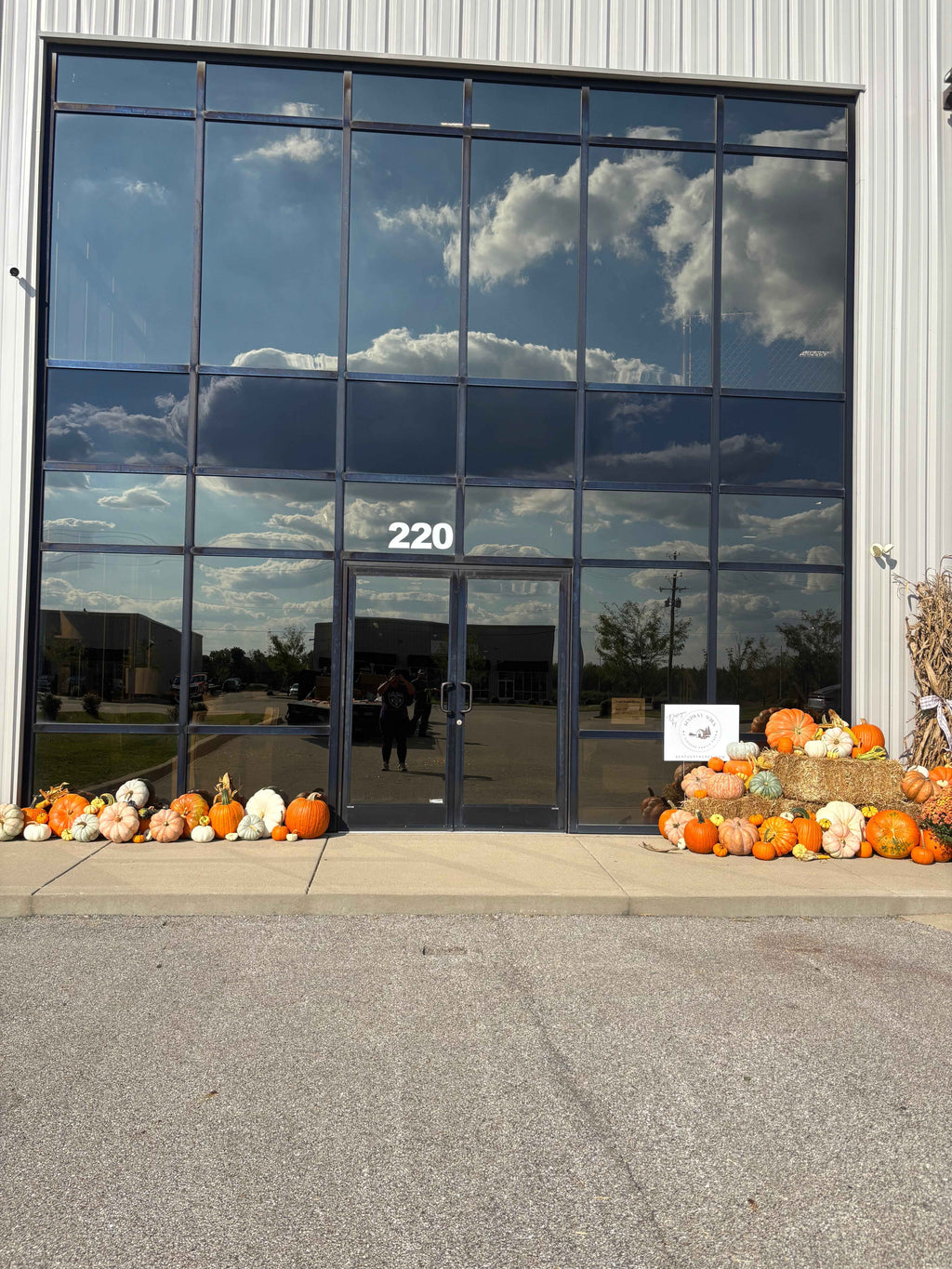Package 5: Harvest Homecoming | 100+ Pumpkins