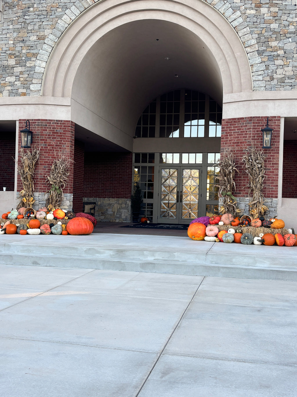 Package 5: Harvest Homecoming | 100+ Pumpkins