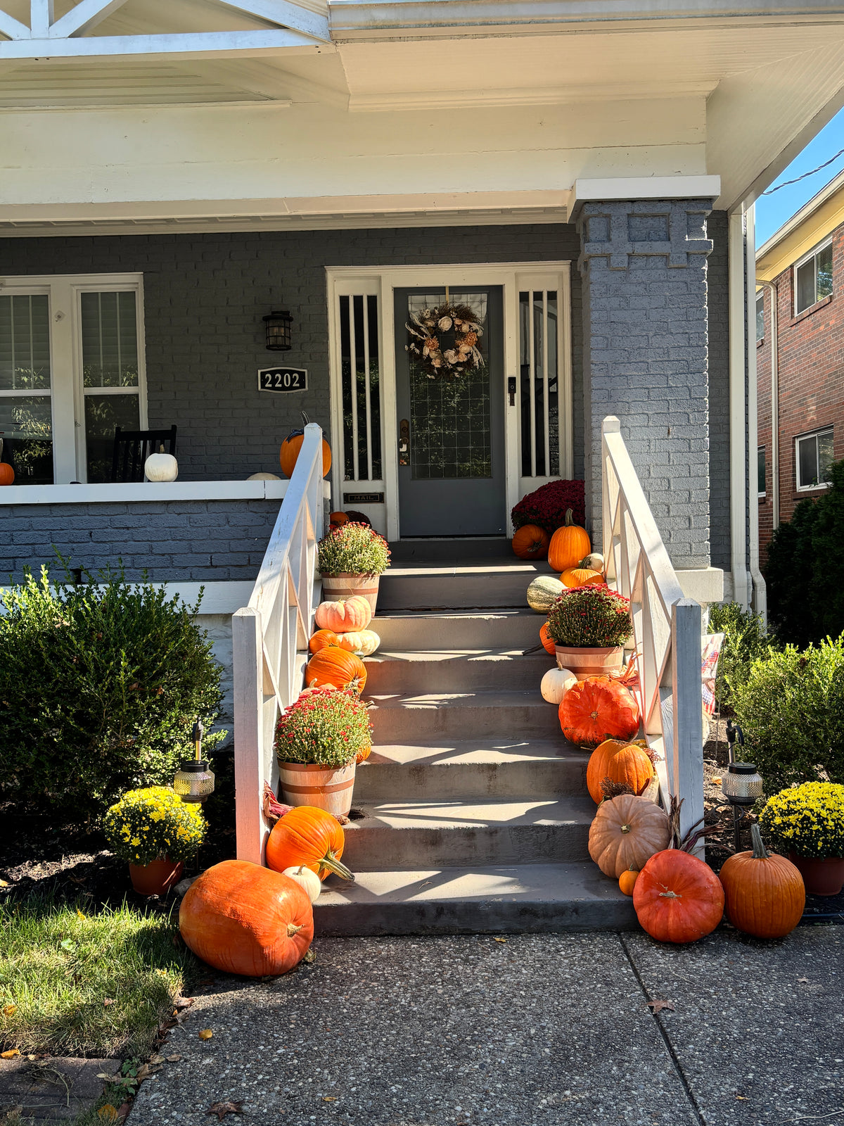 Package 3: Crisp & Cozy | 51+ Pumpkins