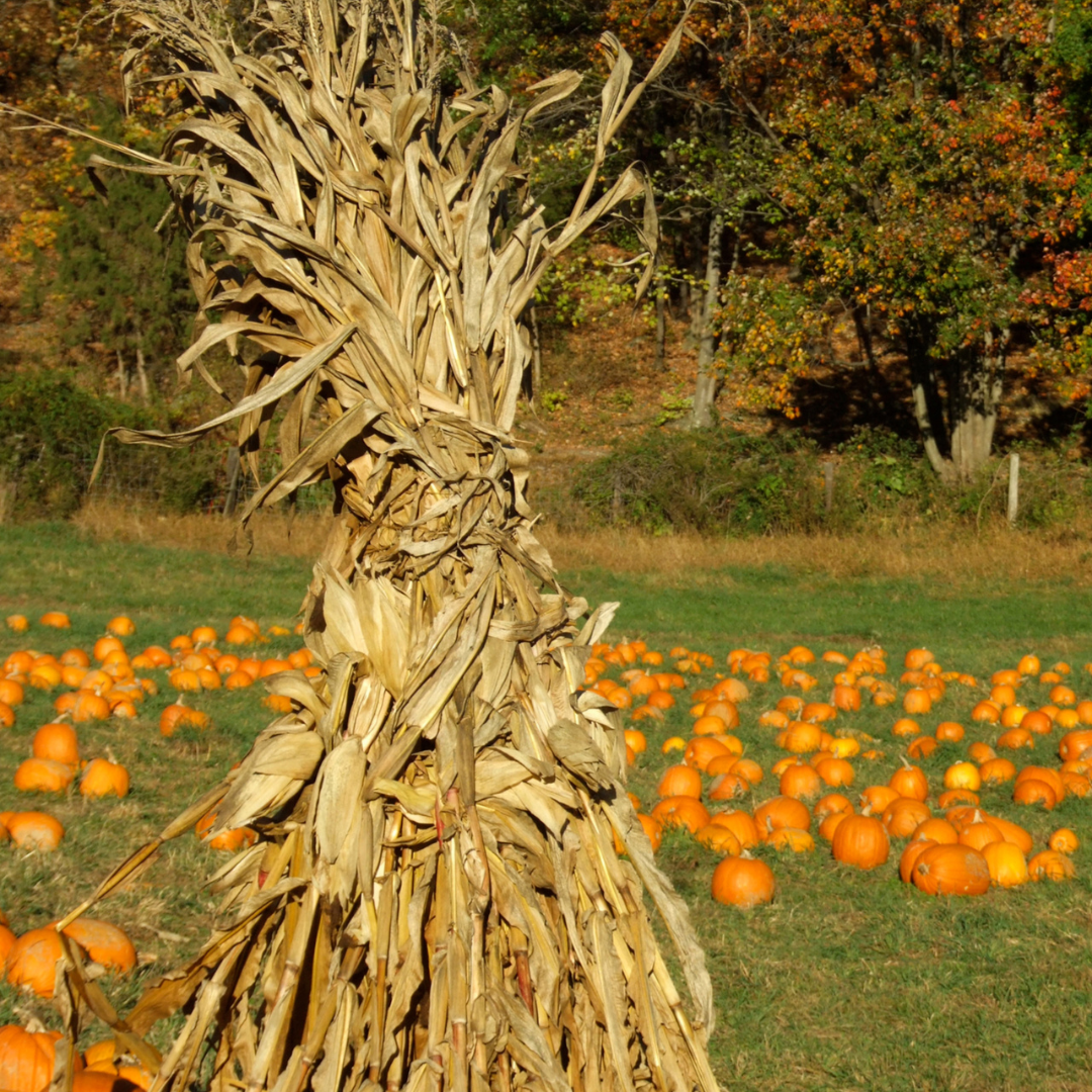 Add a Cornstalk Bundle
