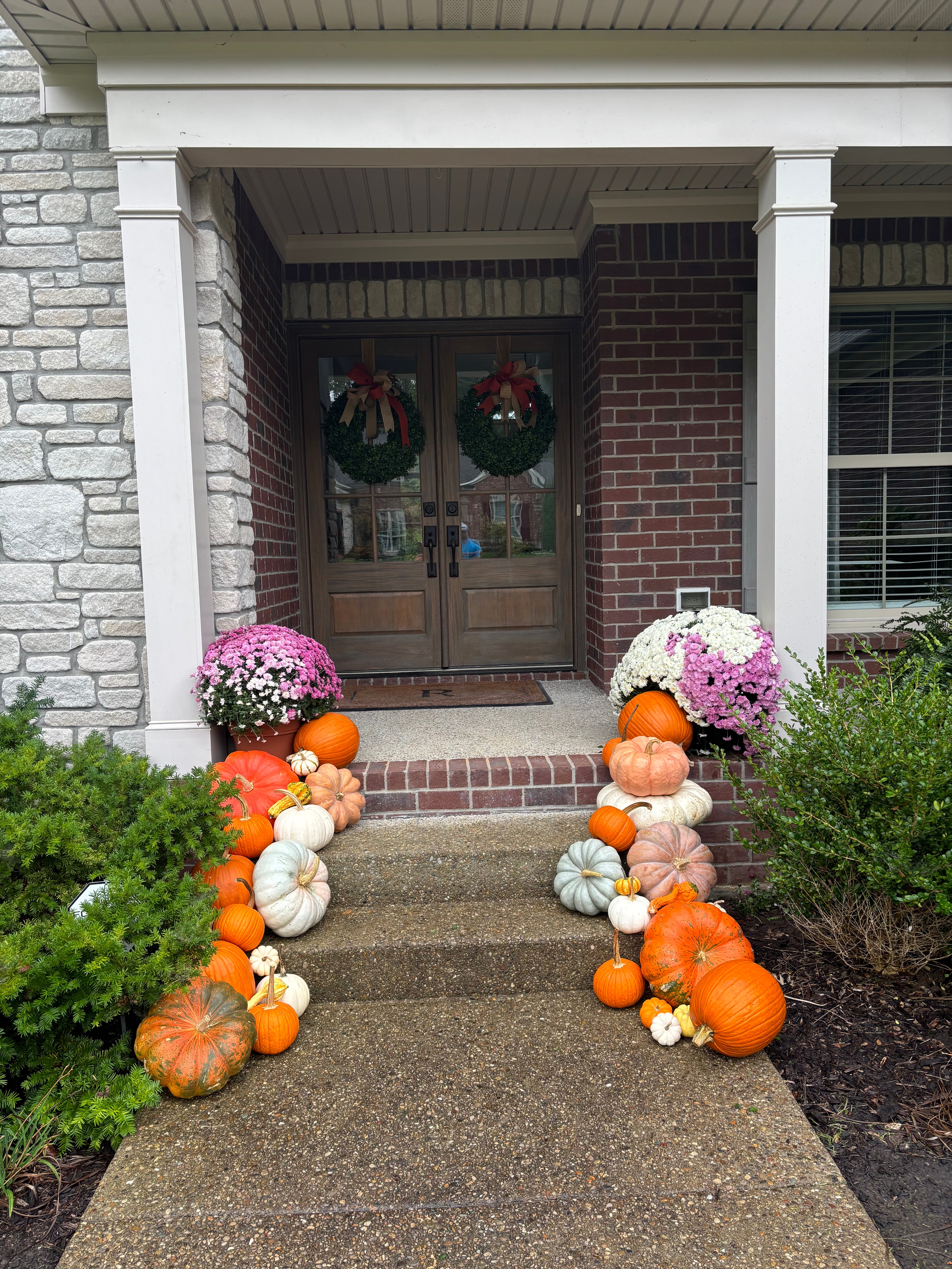 Package 1: The Patch