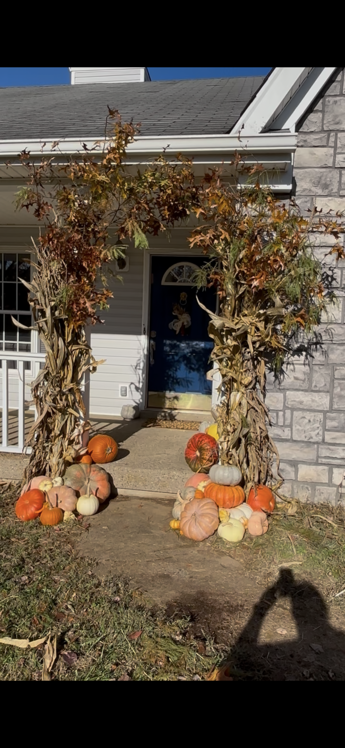 Package 2: Foliage Fairytale