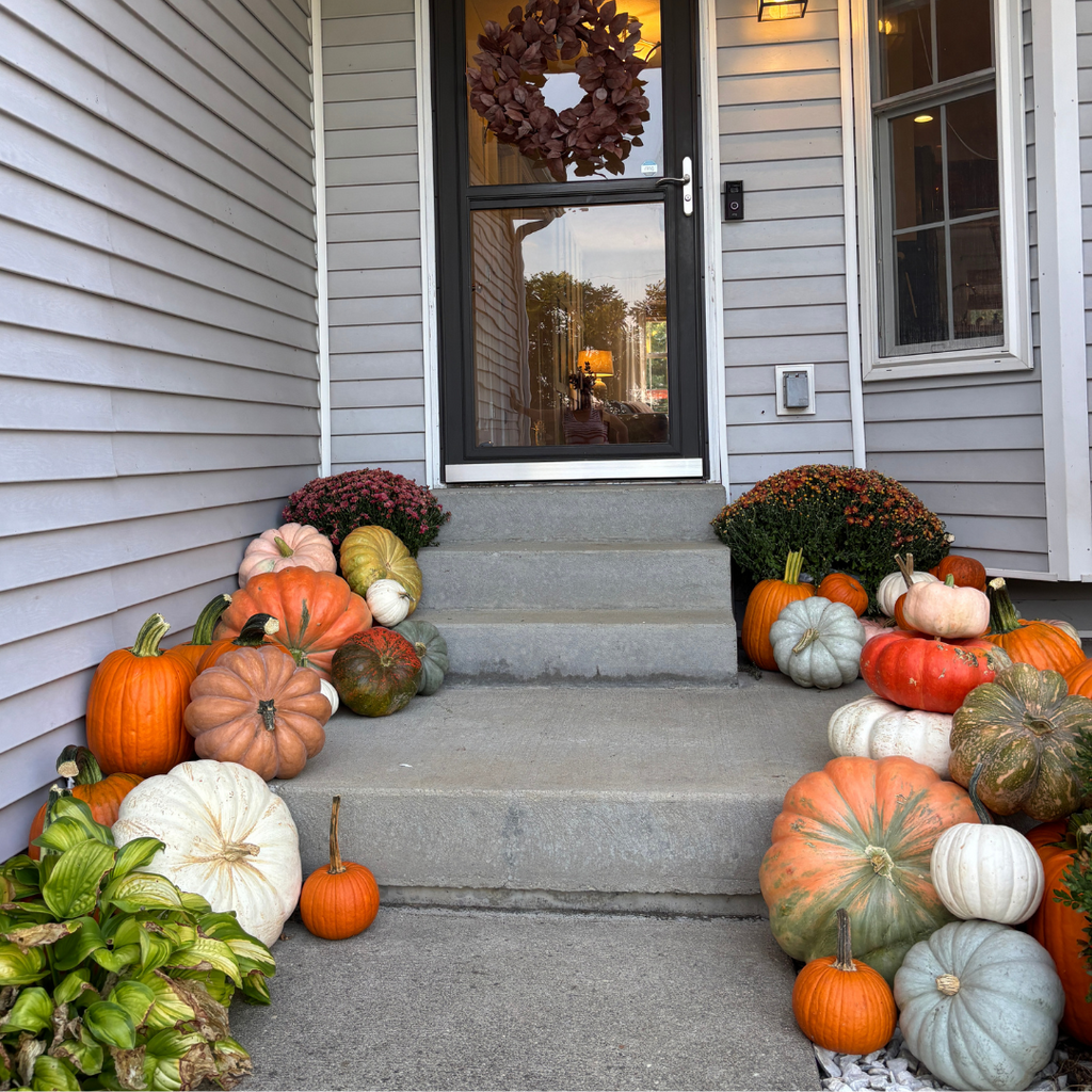 Package 3: Crisp & Cozy | 51+ Pumpkins